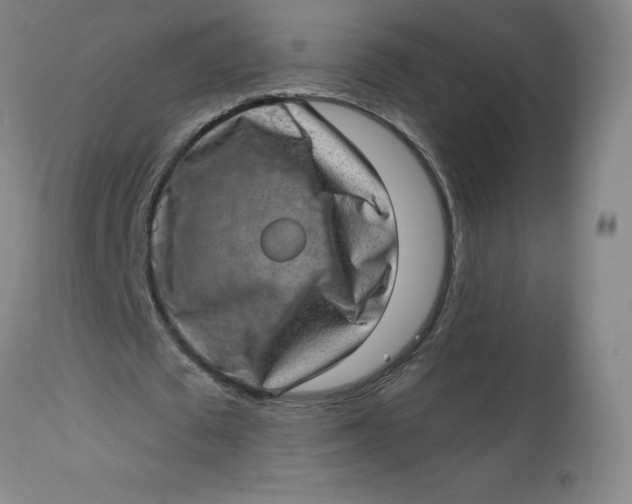 X0000113630673200910091556