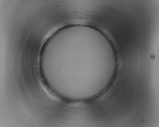 X0000113630674200910091556