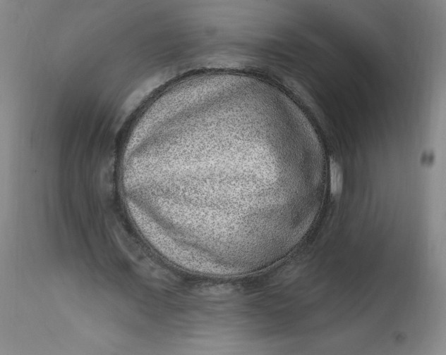 X0000113630675200910091556