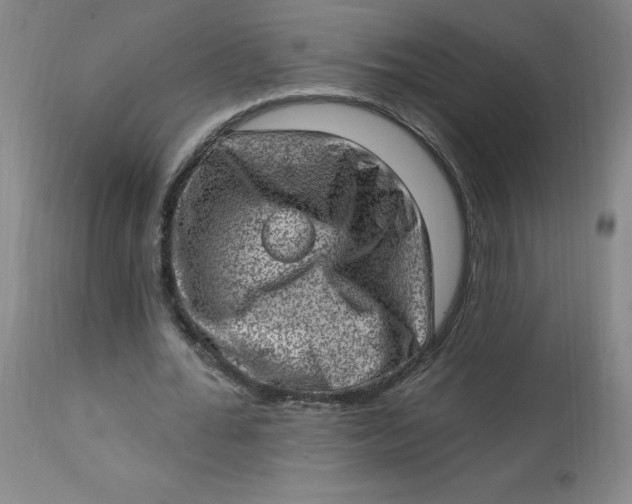 X0000113630676200910091556