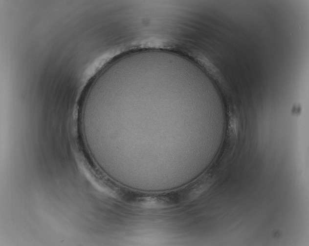 X0000113630678200910091556