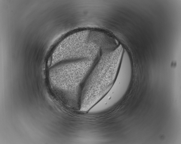 X0000113630680200910091556