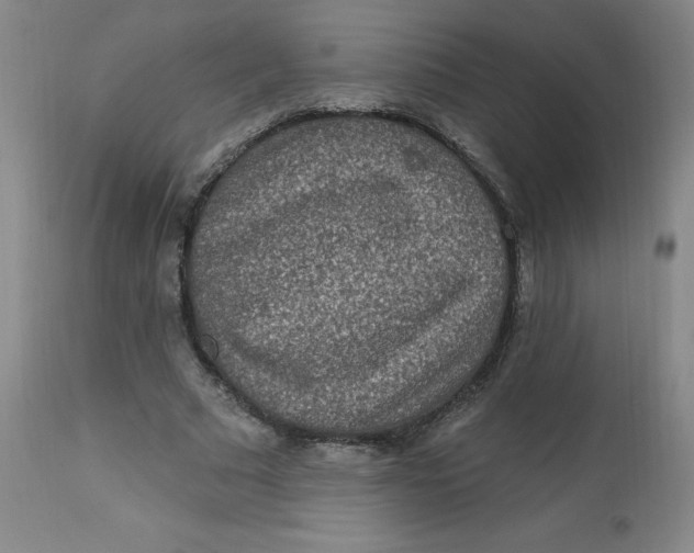 X0000113630681200910091556