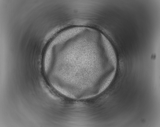 X0000113630682200910091556