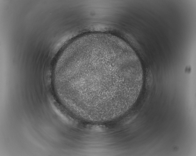 X0000113630683200910091556