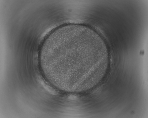 X0000113630684200910091556