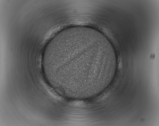 X0000113630685200910091556