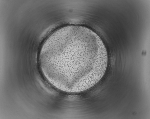 X0000113630686200910091556