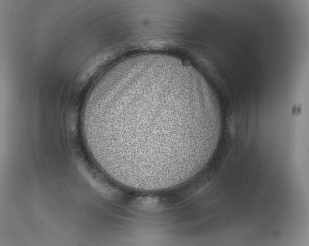 X0000113630687200910091556