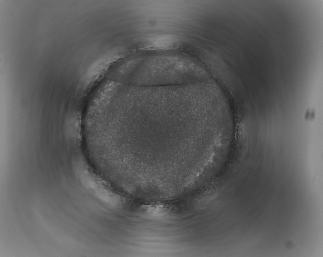 X0000113630688200910091556