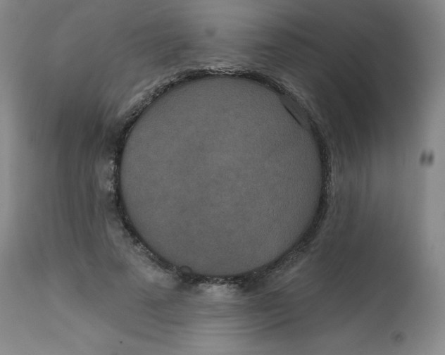 X0000113630689200910091556