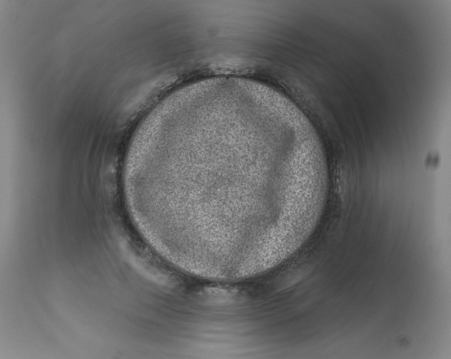 X0000113630690200910091556