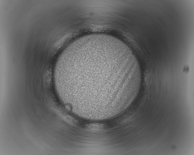 X0000113630691200910091556