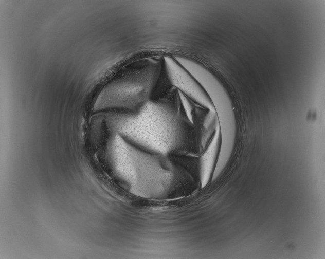 X0000113630692200910091556