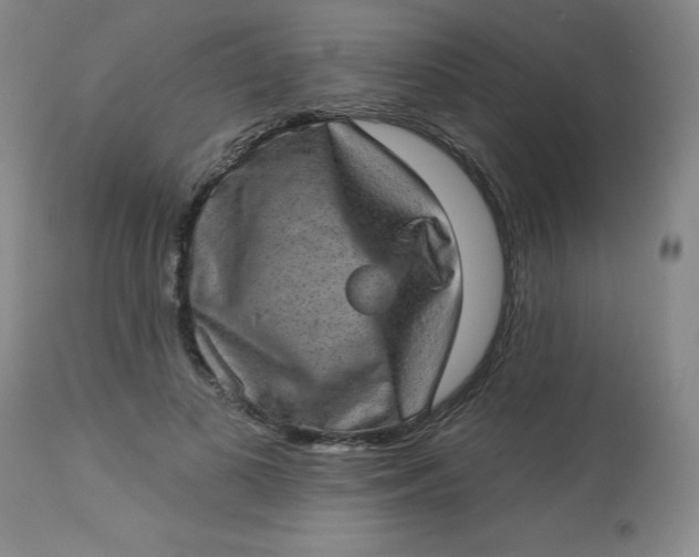 X0000113630693200910091556