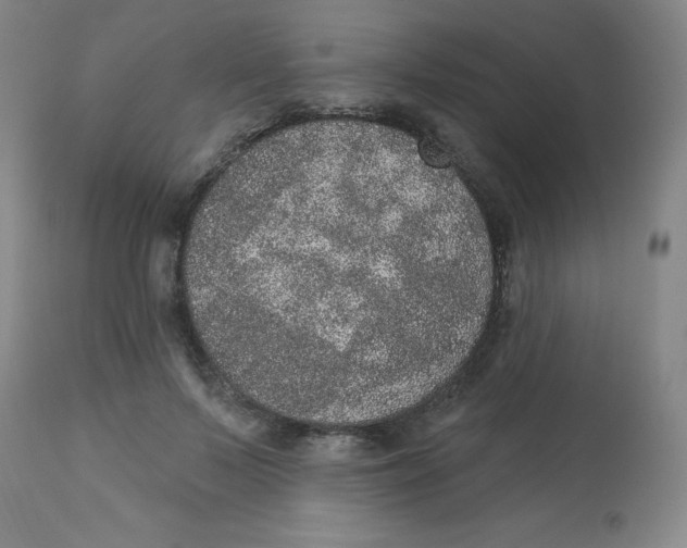 X0000113630695200910091556