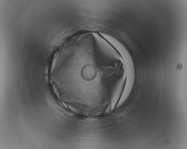 X0000113630696200910091556