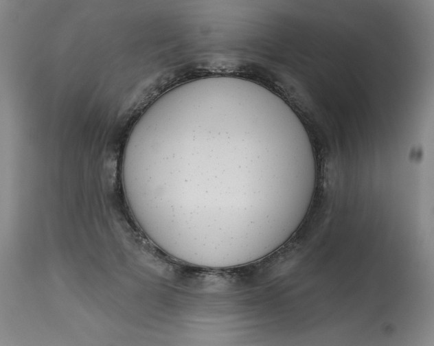 X0000113630697200910091556