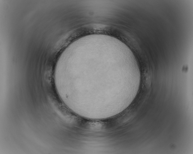 X0000113630698200910091556