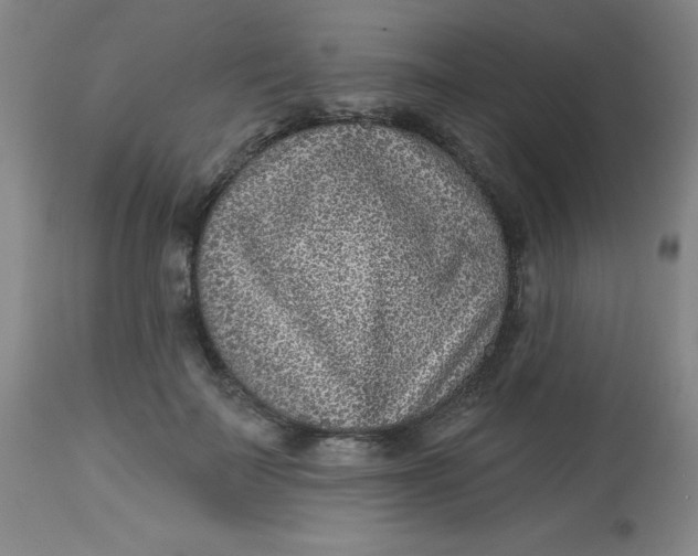 X0000113630699200910091556