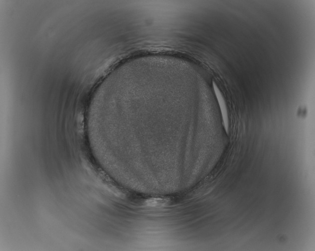 X0000113630700200910091556