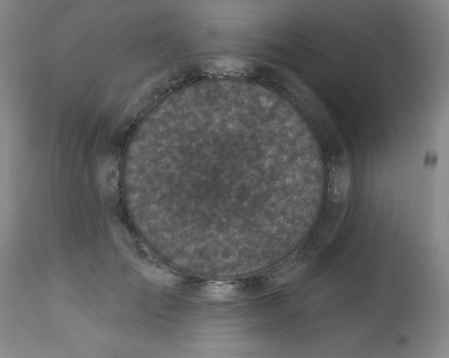 X0000113630701200910091556