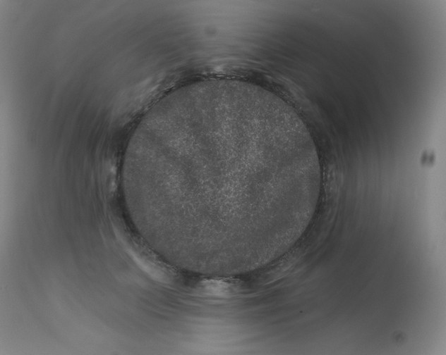 X0000113630703200910091556