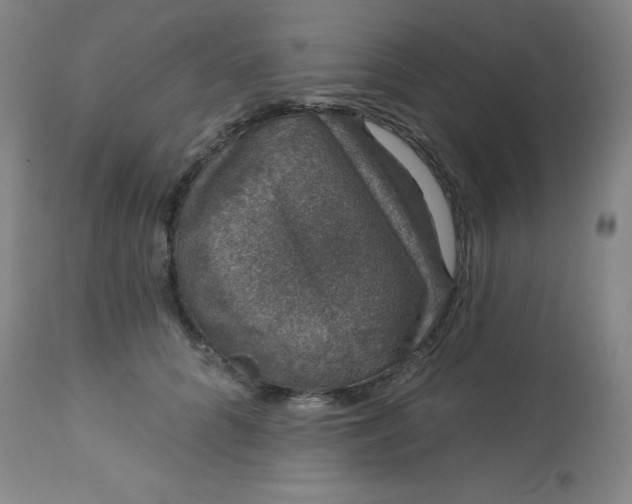 X0000113630704200910091556