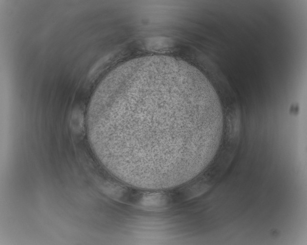 X0000113630705200910091556