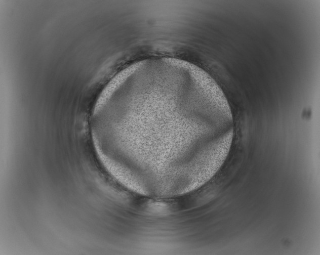 X0000113630706200910091556