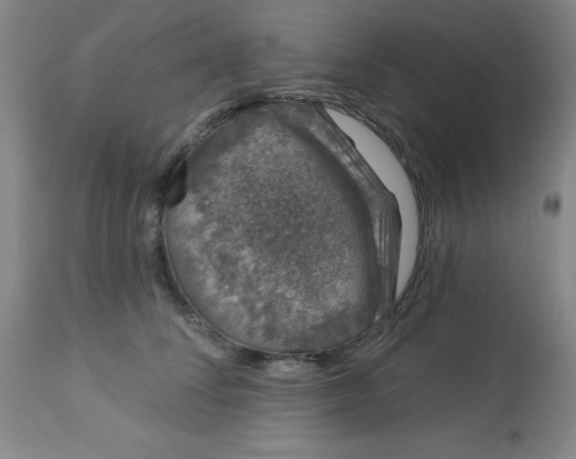 X0000113630708200910091556