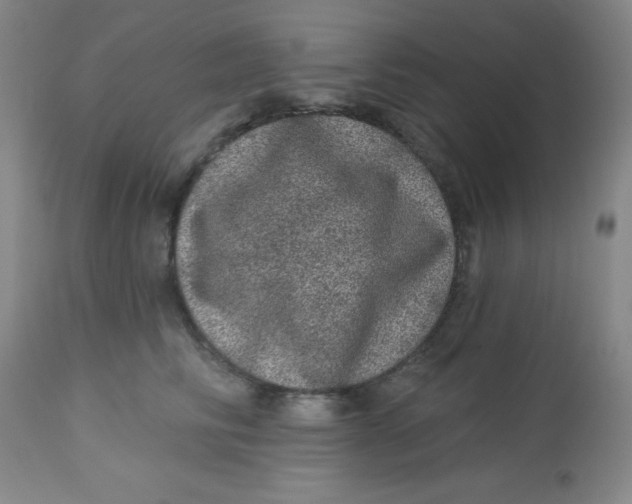 X0000113630710200910091556