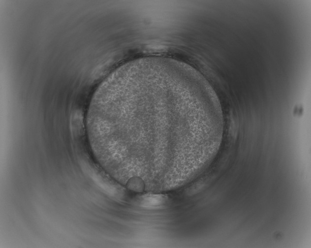 X0000113630711200910091556