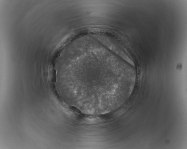 X0000113630712200910091556