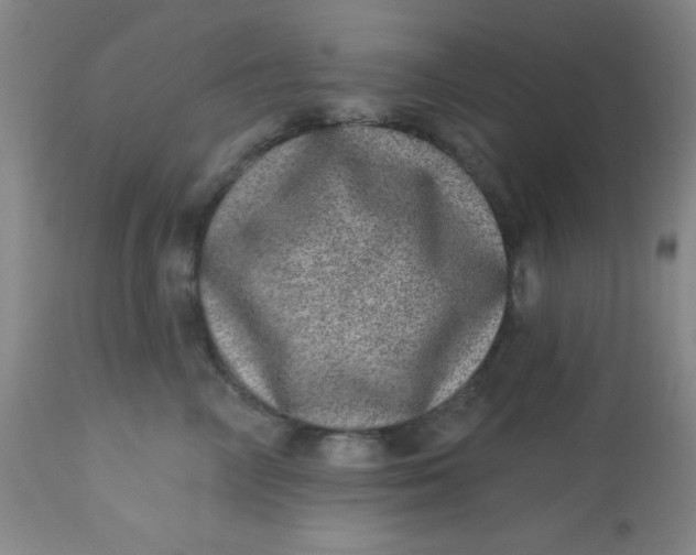 X0000113630714200910091556