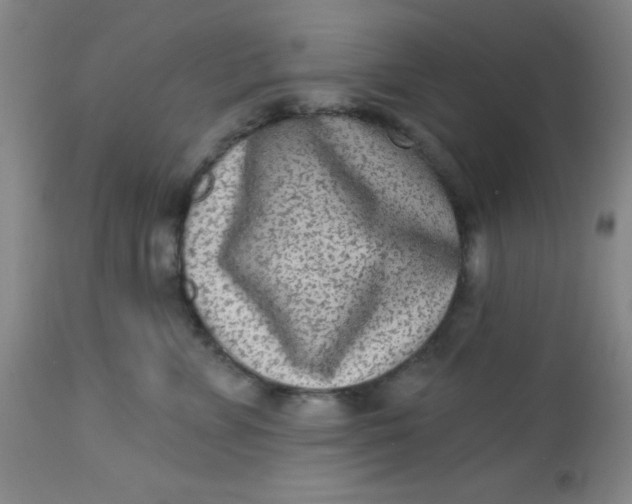 X0000113630715200910091556