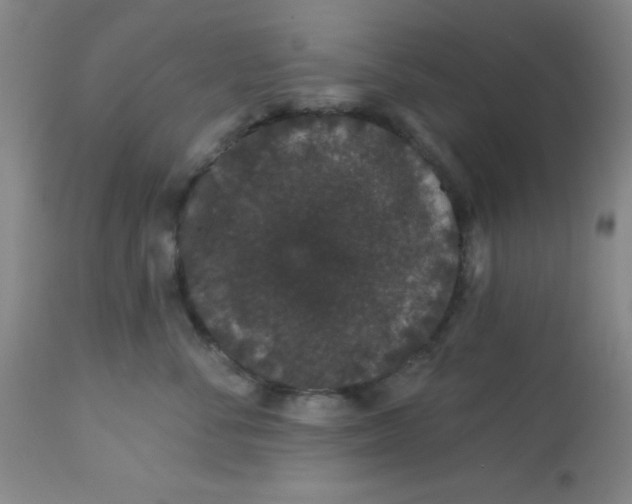 X0000113630716200910091556