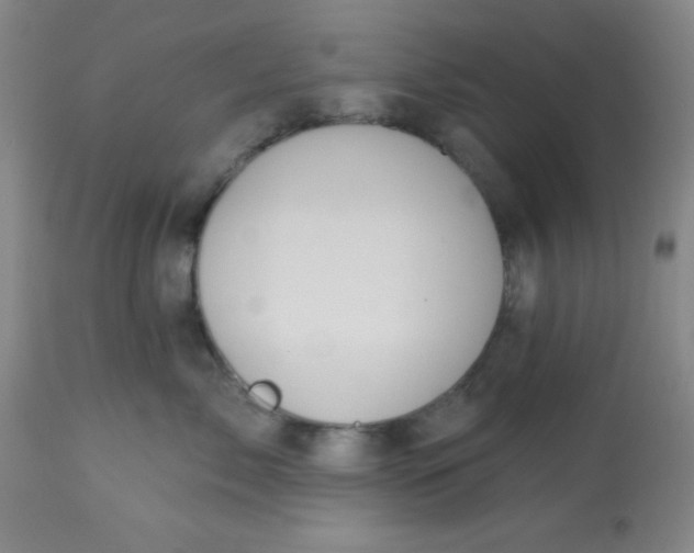 X0000113630717200910091556