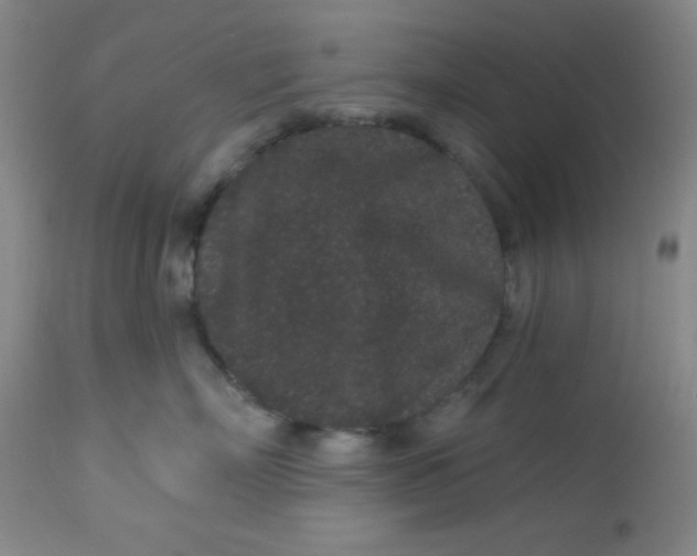 X0000113630718200910091556