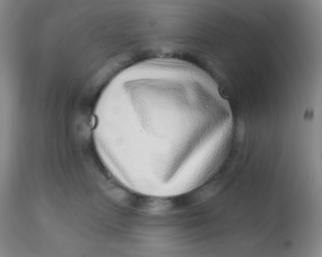 X0000113630719200910091556