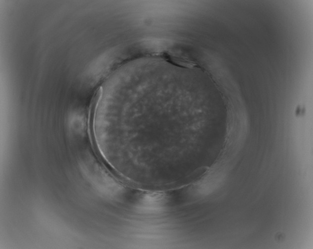 X0000113630720200910091556