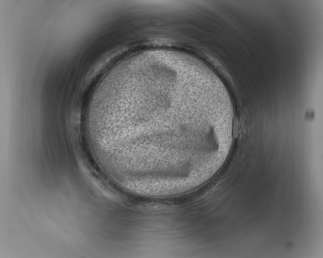 X0000113630722200910091555