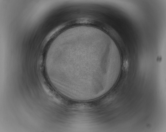 X0000113630724200910091555