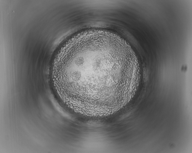 X0000113630725200910091555