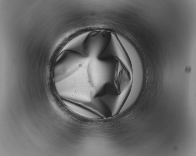 X0000113630726200910091555