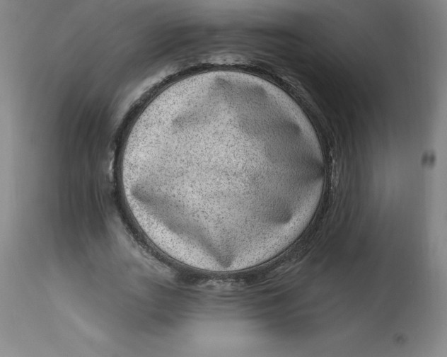 X0000113630727200910091555