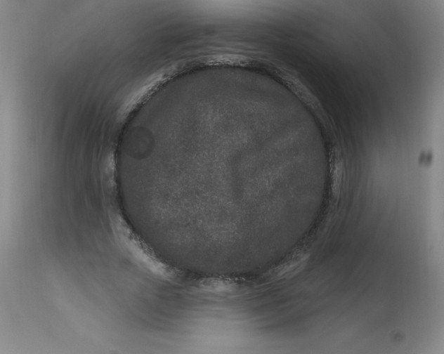 X0000113630729200910091555