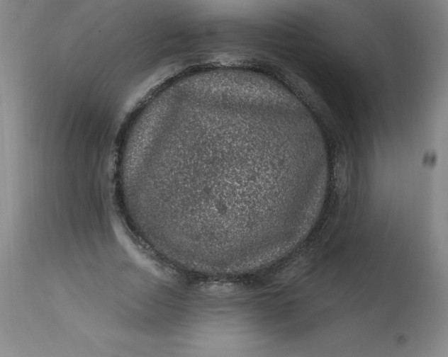 X0000113630730200910091555