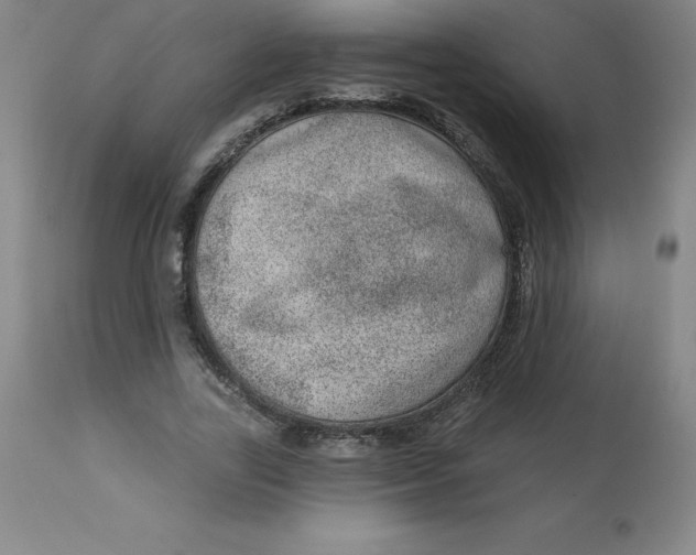 X0000113630731200910091555