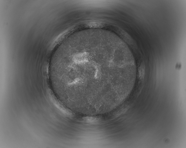 X0000113630733200910091555